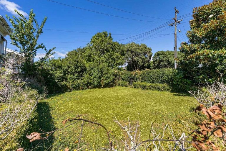 Photo of property in 12 Kenyon Avenue, Mount Eden, Auckland, 1024