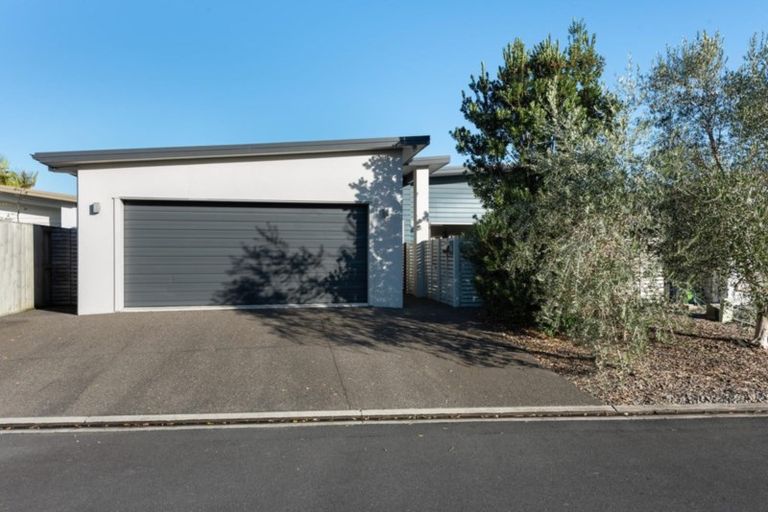 Photo of property in 17 Jude Way, Brookfield, Tauranga, 3110
