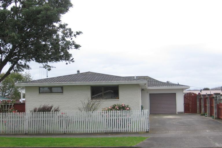 Photo of property in 30 Grenville Street, Levin, 5510
