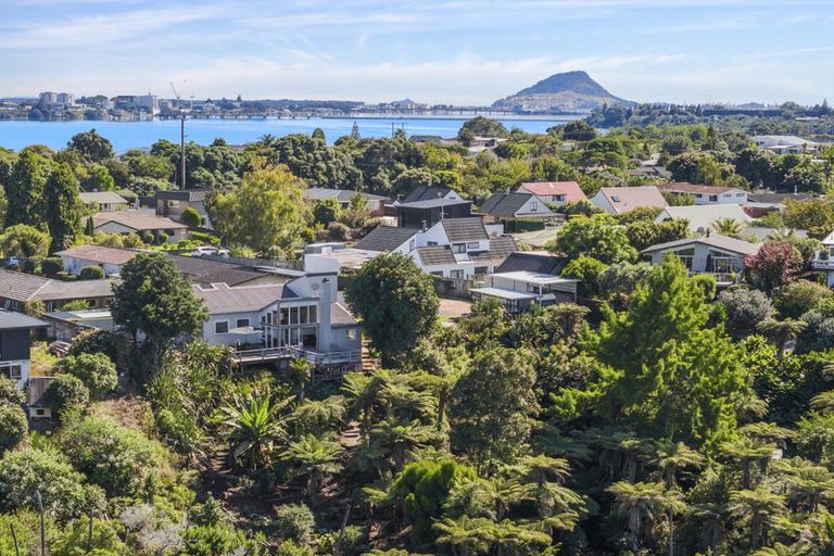 Photo of property in 180 Te Hono Street, Maungatapu, Tauranga, 3112