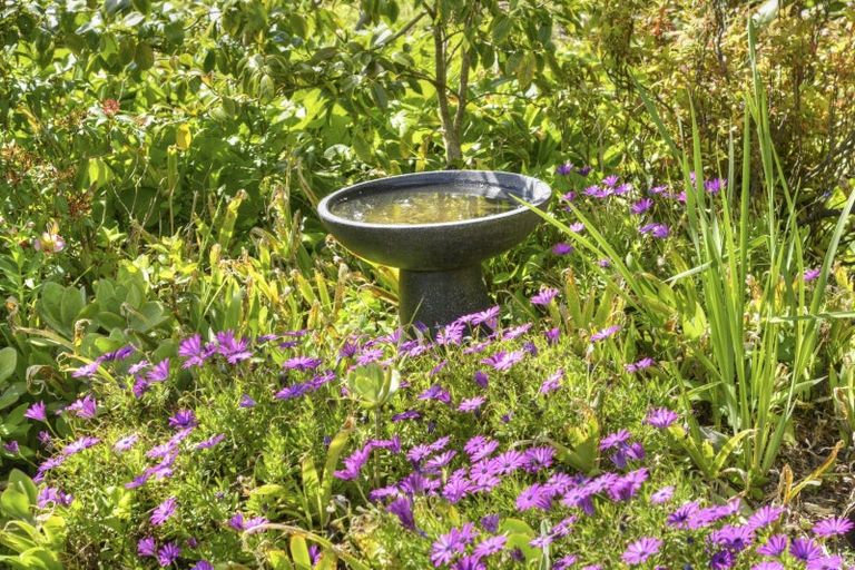 Photo of property in 145 Park Road, Carterton, 5713