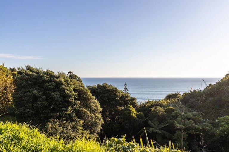 Photo of property in 5203 State Highway 3, Awakino, Mokau, 4376