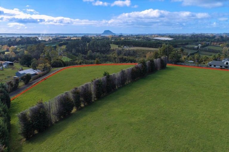 Photo of property in 198b Snodgrass Road, Te Puna, Whakamarama, 3174
