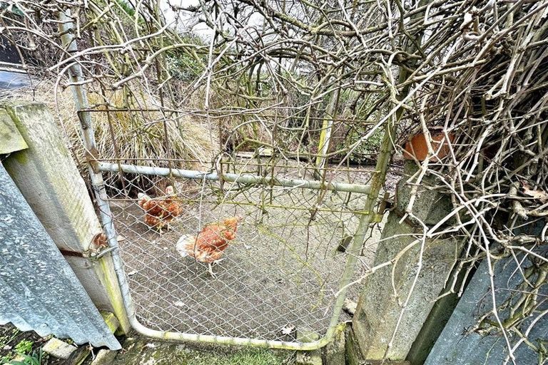 Photo of property in 236 Clyde Street, Balclutha, 9230