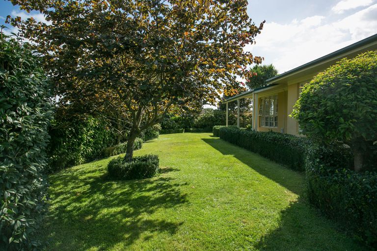 Photo of property in 52 Chaucer Street, Leamington, Cambridge, 3432