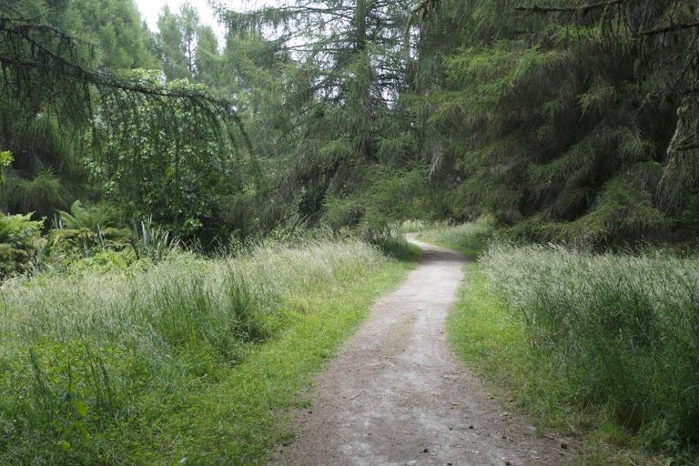 Photo of property in 81 Lisland Drive, Kinloch, Taupo, 3377