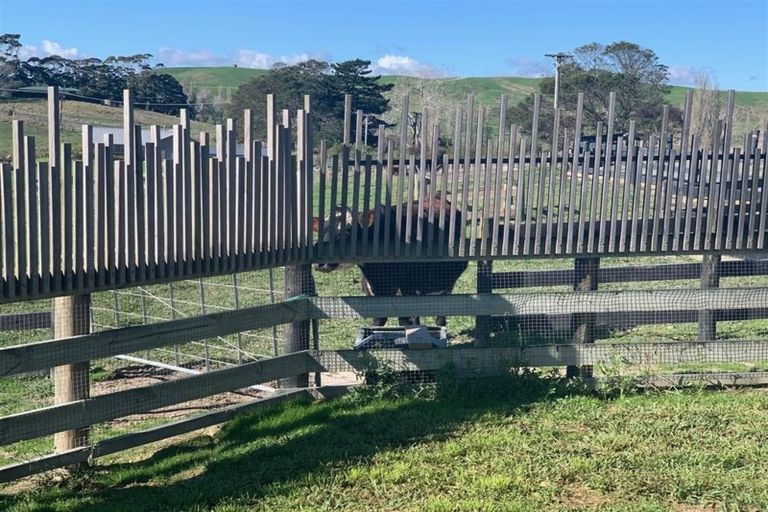 Photo of property in 129 Vipond Road, Wellsford, 0975