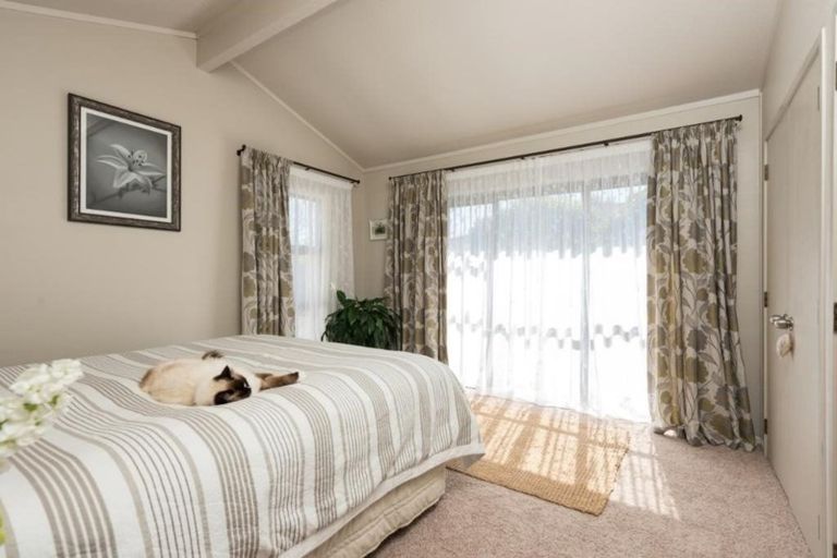 Photo of property in 62 Te Hono Street, Maungatapu, Tauranga, 3112