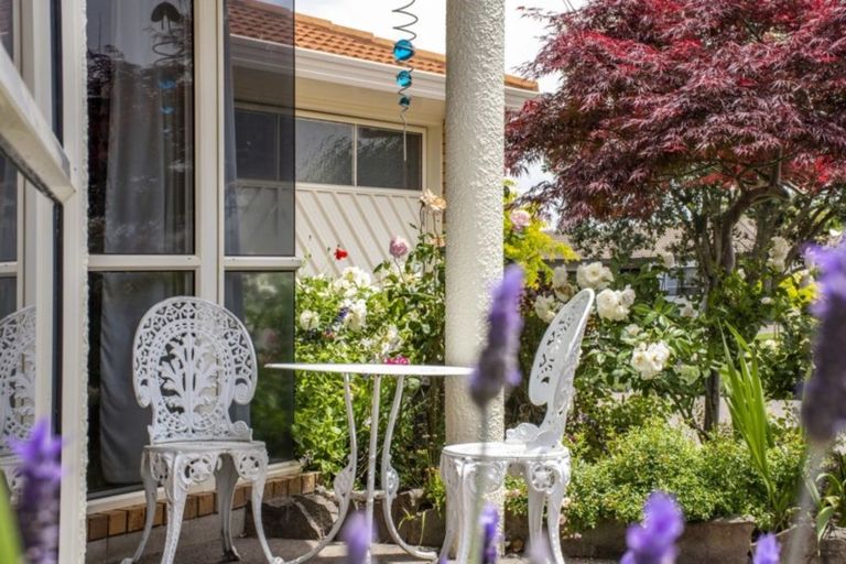 Photo of property in 37 Lotus Avenue, Mount Maunganui, 3116