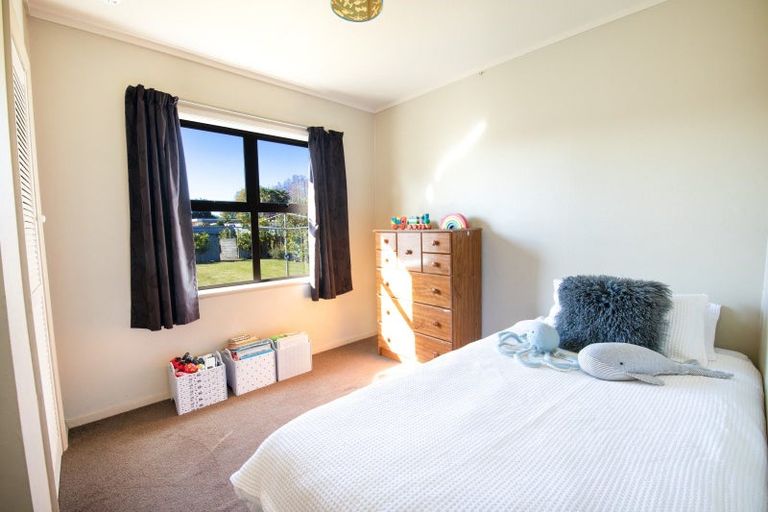 Photo of property in 57 Norwich Crescent, Tamatea, Napier, 4112