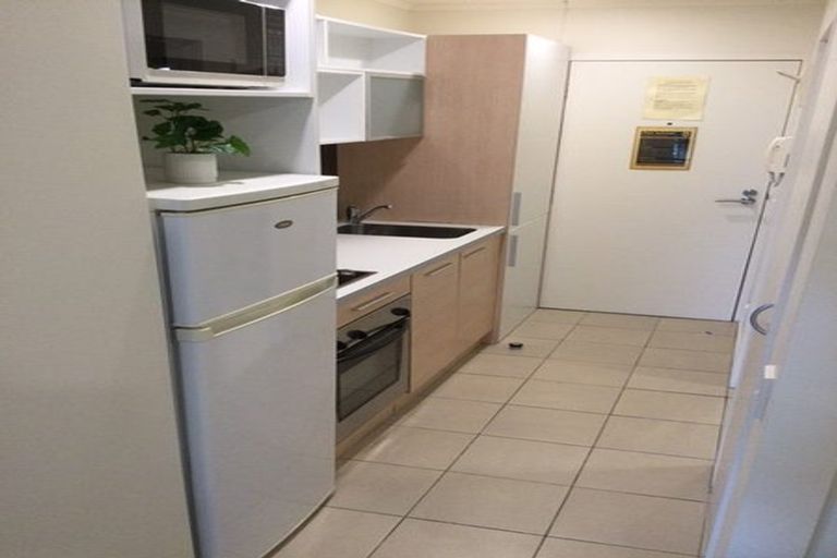 Photo of property in Luna Apartments, 2r/16 Burton Street, Grafton, Auckland, 1010