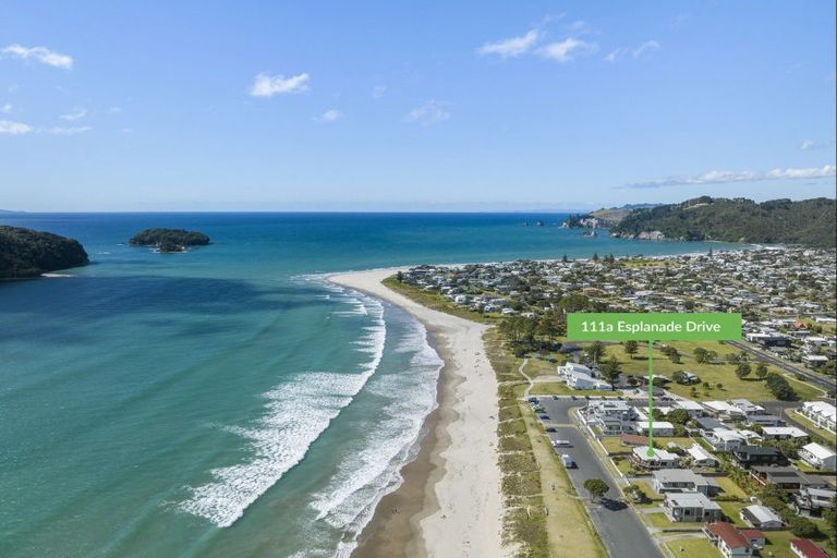 Photo of property in 111a Esplanade Drive, Whangamata, 3620