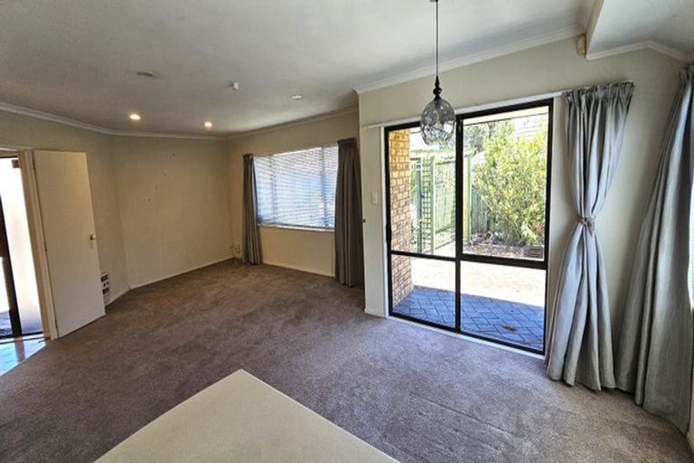 Photo of property in 169c Maungatapu Road, Maungatapu, Tauranga, 3112