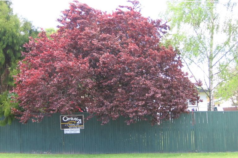 Photo of property in 32b Tamatea Road, Taupo, 3330