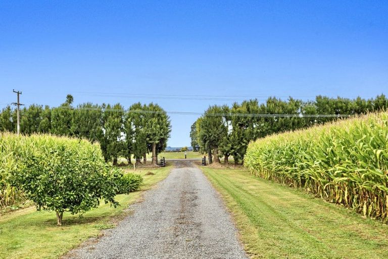 Photo of property in 164 Otakiri Road, Edgecumbe, Whakatane, 3192