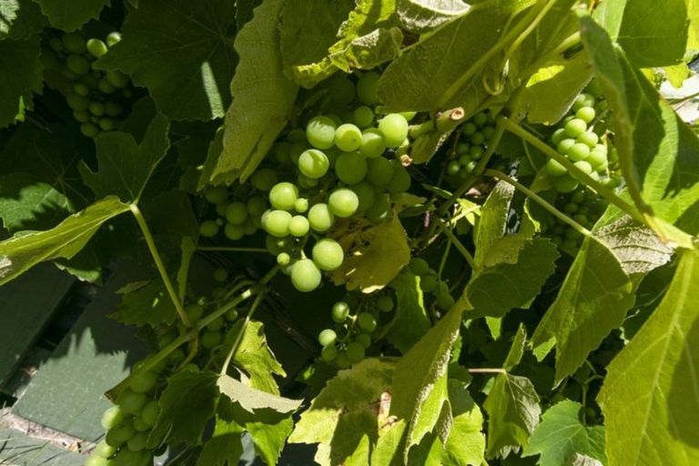 Photo of property in 19 Thirlmere Street, Wainuiomata, Lower Hutt, 5014