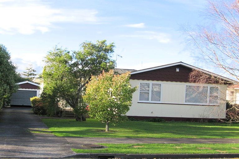 Photo of property in 38 Windsor Street, Terrace End, Palmerston North, 4410