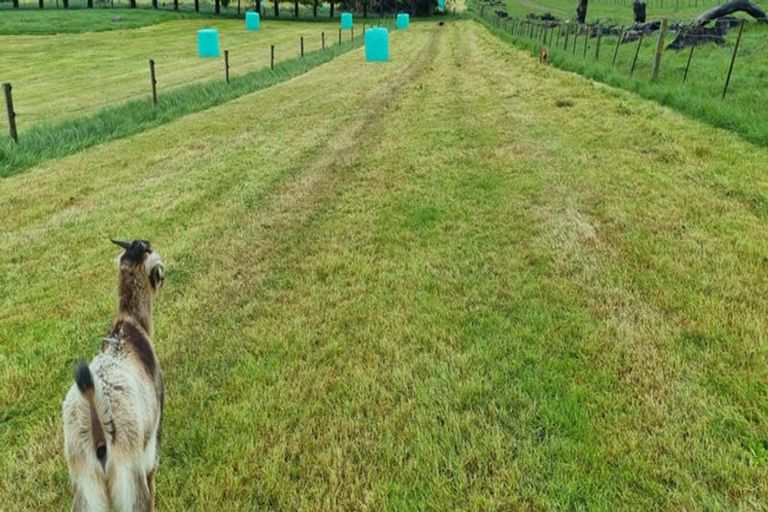 Photo of property in 447 Waddle Road, Waikana, Gore, 9772