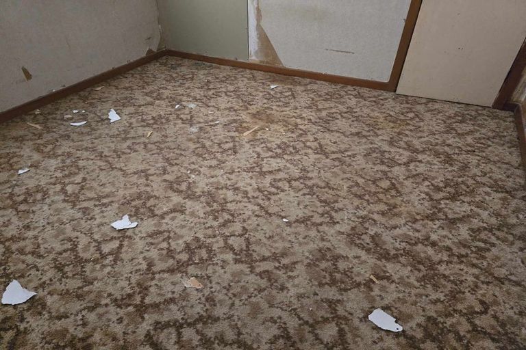 Photo of property in 31 Otiria Road, Moerewa, 0211