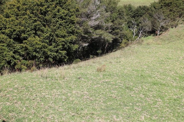 Photo of property in 86 Summer Road, Tinopai, Matakohe, 0593