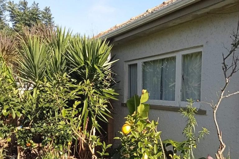 Photo of property in 40 Judea Road, Judea, Tauranga, 3110