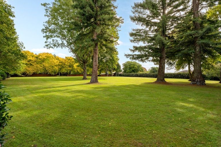 Photo of property in 59a Western Avenue, Omokoroa, 3114