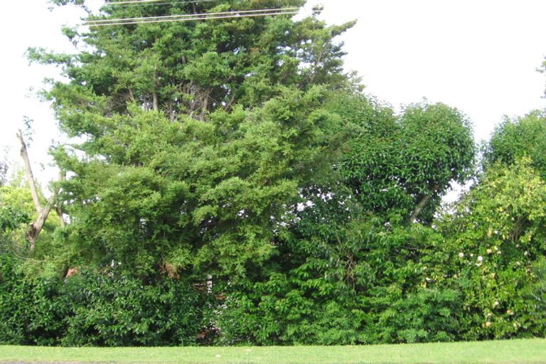 Photo of property in 184 Stout Street, Mangapapa, Gisborne, 4010