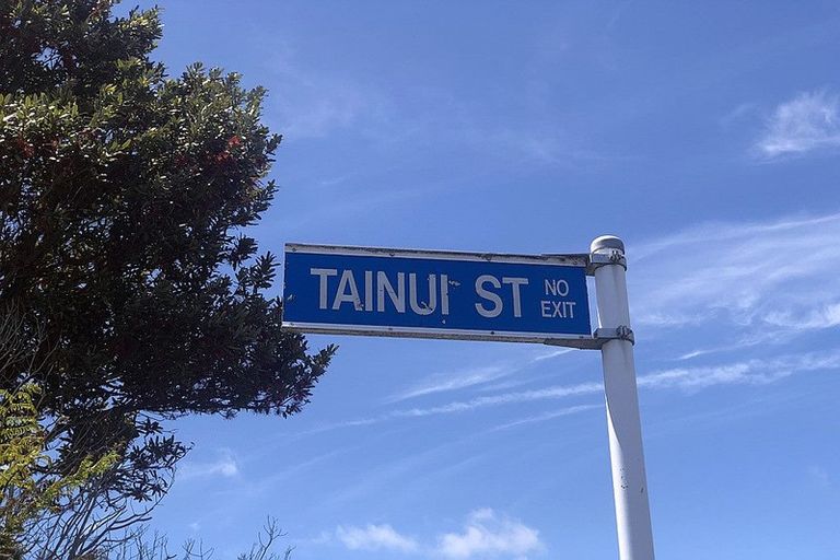 Photo of property in 14a Tainui Street, Frankton, Hamilton, 3204