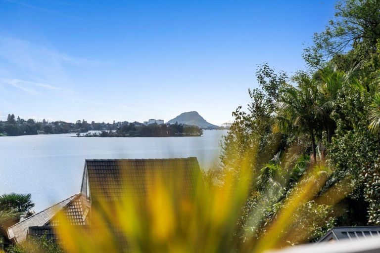 Photo of property in 3 Moiri Place, Maungatapu, Tauranga, 3112