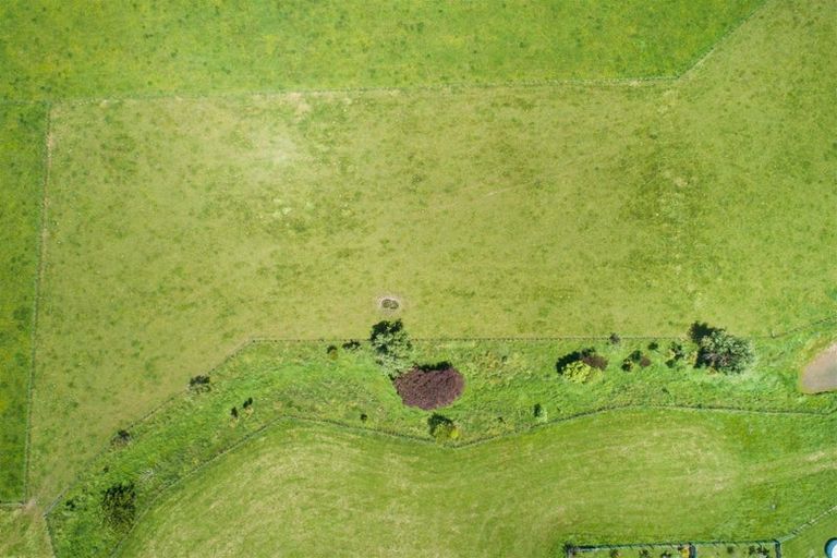 Photo of property in 81 Pukepapa Road, Marton, 4710