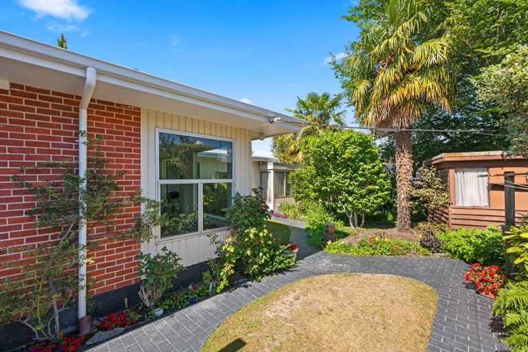 Photo of property in 56 New Renwick Road, Burleigh, Blenheim, 7201