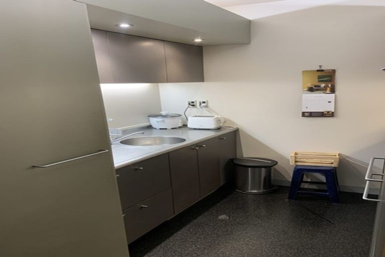 Photo of property in Gerondis Bldg Apartments, 211/60 Willis Street, Wellington Central, Wellington, 6011