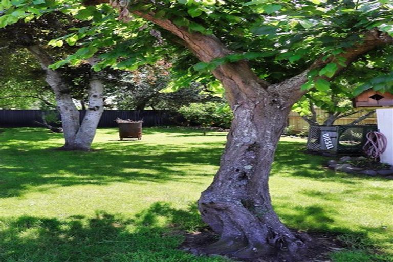 Photo of property in 28 Domain Road, Waipawa, 4210