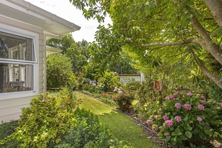 Photo of property in 463 Aberdeen Road, Te Hapara, Gisborne, 4010