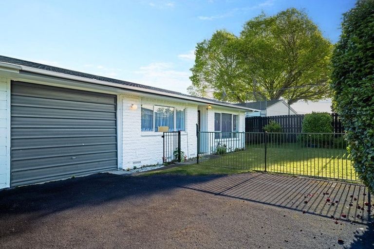 Photo of property in 97b Pine Avenue, Melville, Hamilton, 3206
