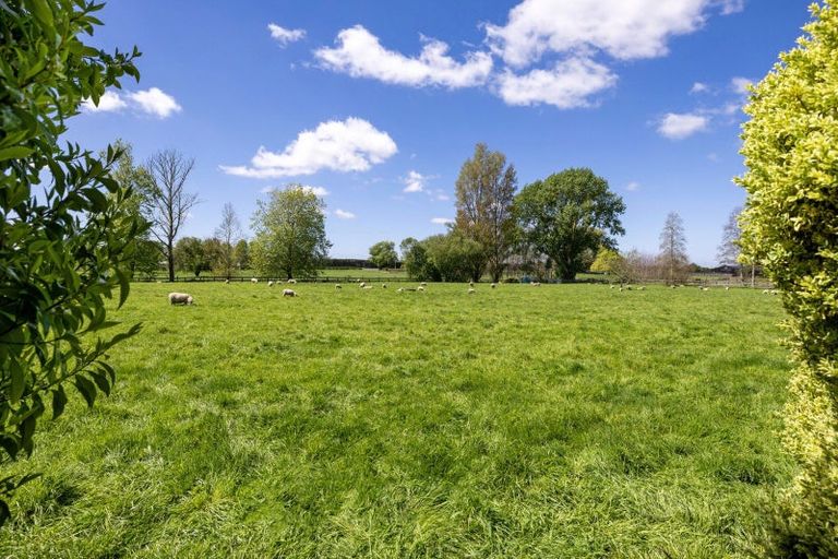 Photo of property in 542 Kaipaki Road, Ohaupo, 3881