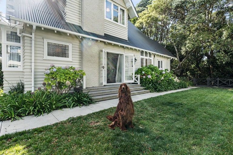 Photo of property in 47 Wallace Place, Westown, New Plymouth, 4310