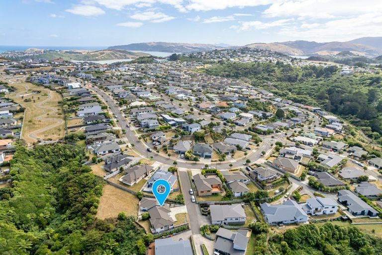 Photo of property in 103 Te Puia Drive, Aotea, Porirua, 5024