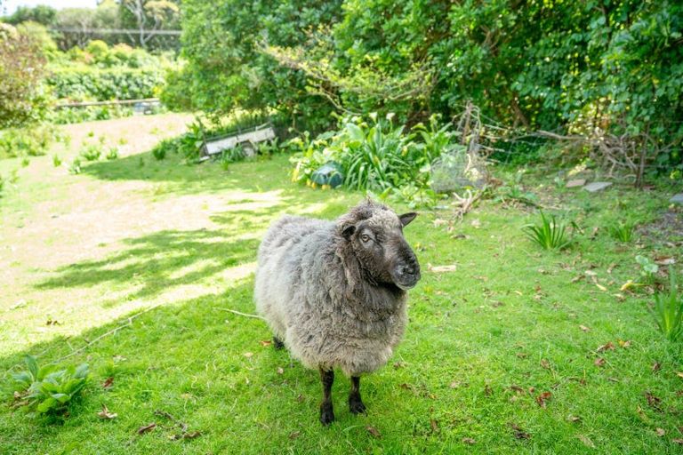 Photo of property in 101 Huia Street, Waikanae, 5391