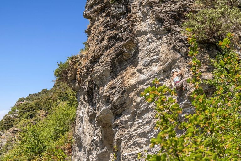 Photo of property in Manuka Grove, 13 Ewing Place, Albert Town, Wanaka, 9305