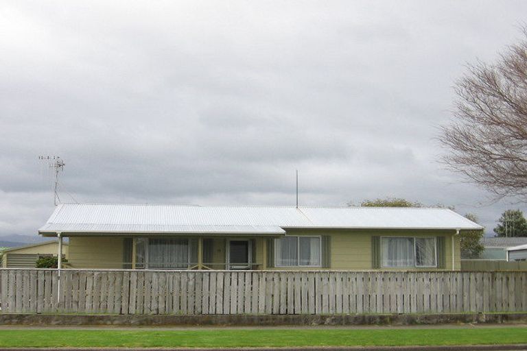 Photo of property in 19 Adkin Avenue, Levin, 5510