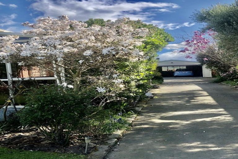 Photo of property in 11 Clayton Road, Amberley, 7410