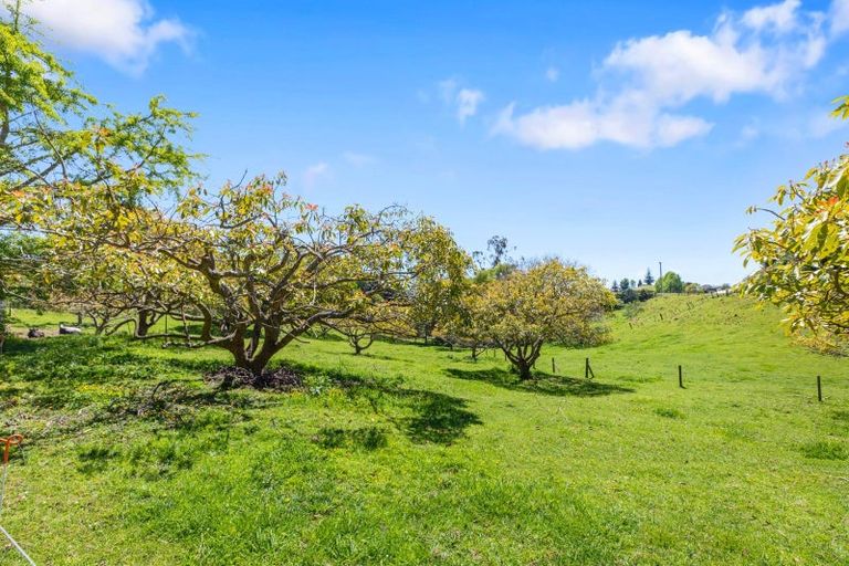 Photo of property in 210 Crawford Road, Minden, Tauranga, 3171