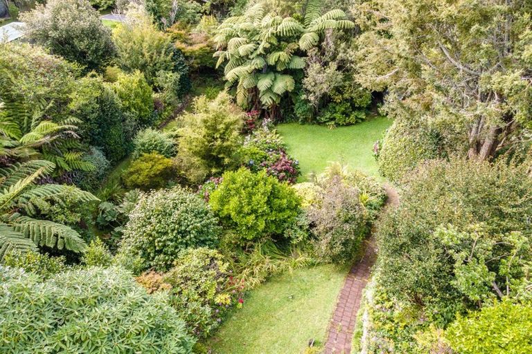 Photo of property in 34 Adams Street, Waihi, 3610