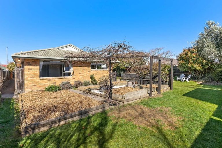 Photo of property in 238 Kingsbury Avenue, Rangiora, 7400