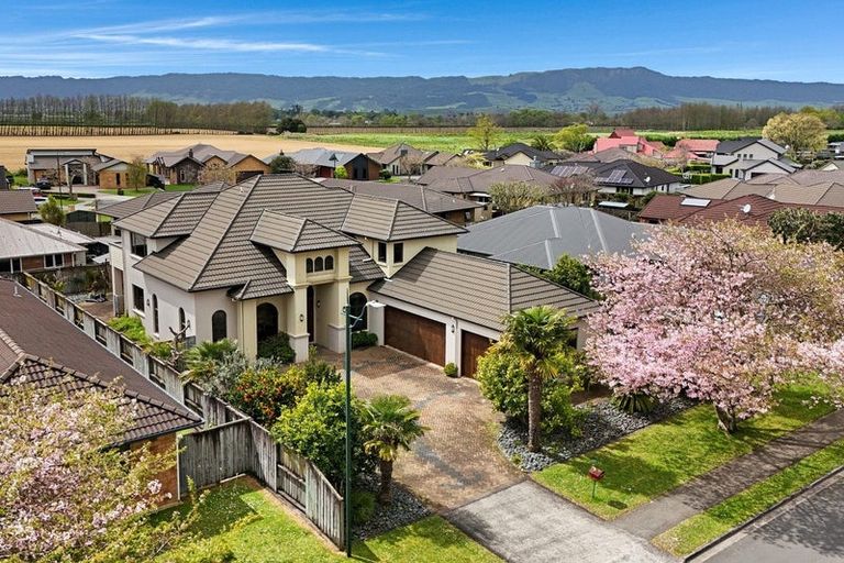 Photo of property in 83 Findlater Street, Matamata, 3400