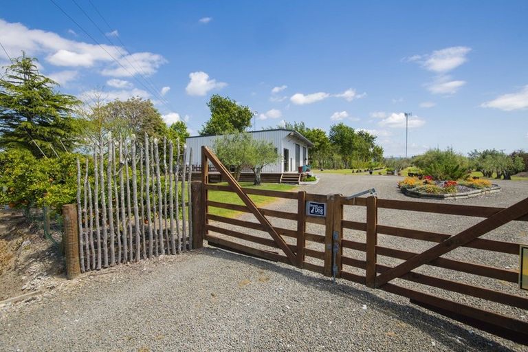 Photo of property in 144 Makaraka Road, Makaraka, Gisborne, 4071