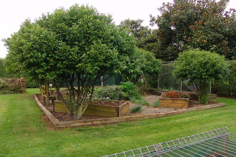 Photo of property in 17 Mangauika Road, Pirongia, Te Awamutu, 3876