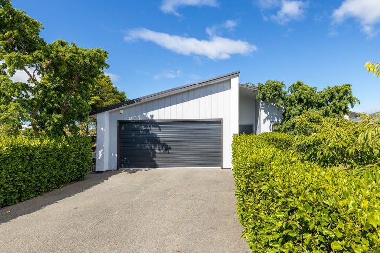 Photo of property in 20 Whatman Avenue, Masterton, 5810