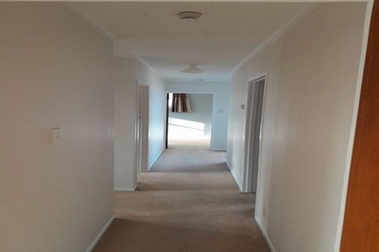 Photo of property in 51 Seddon Street, Takaro, Palmerston North, 4412